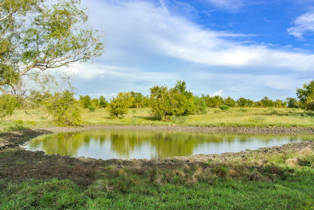 2650 Dillard Road