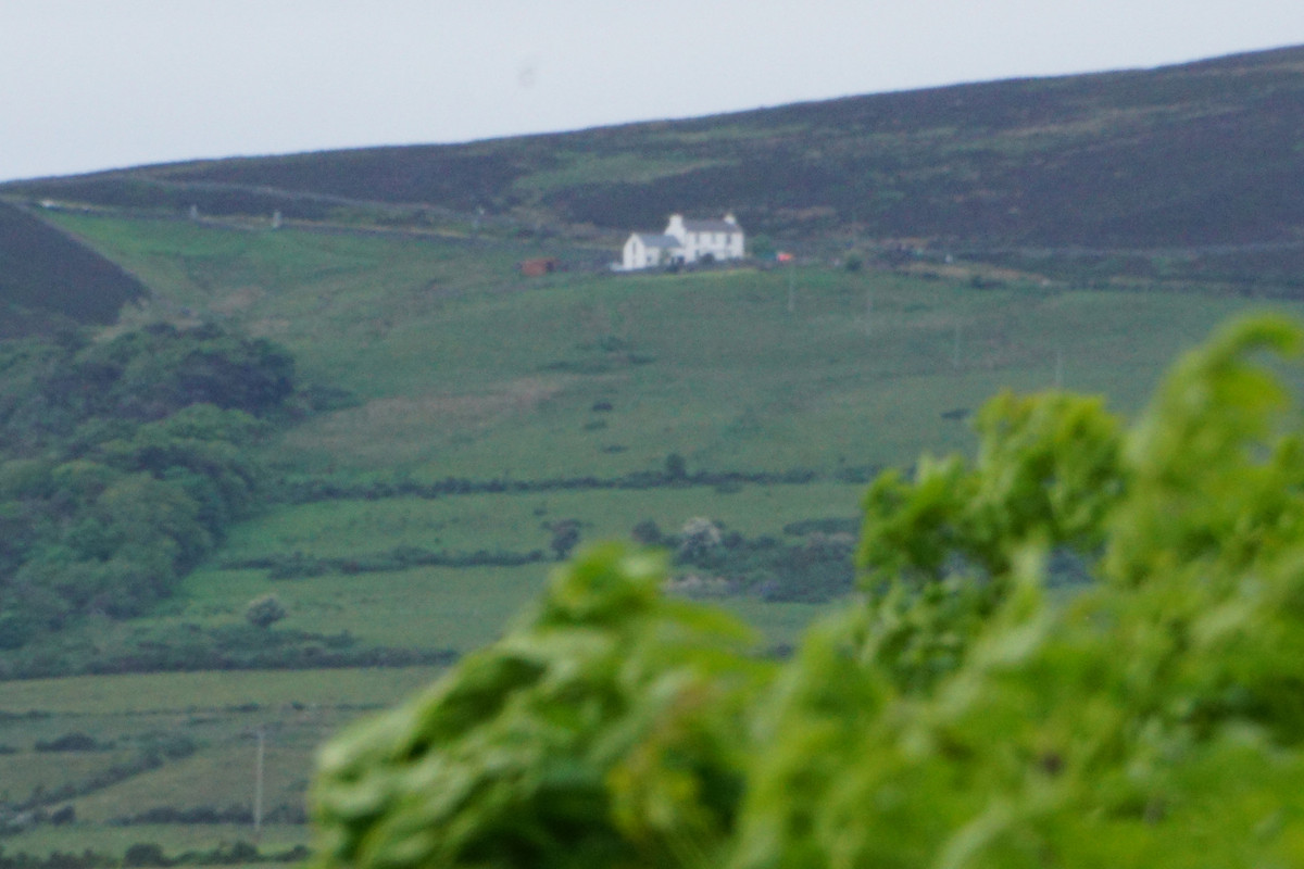 17_DSC04268