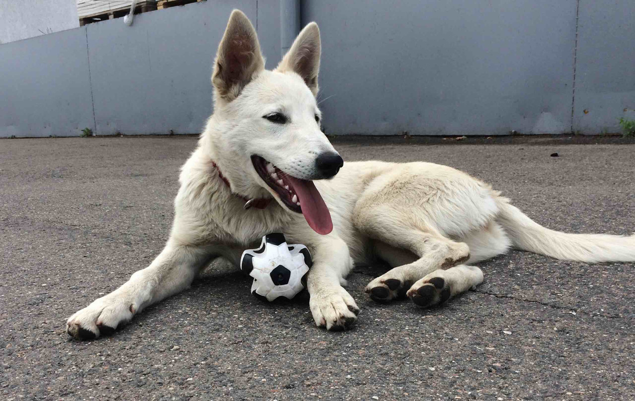 изображение_viber_2020-05-10_21-49-48