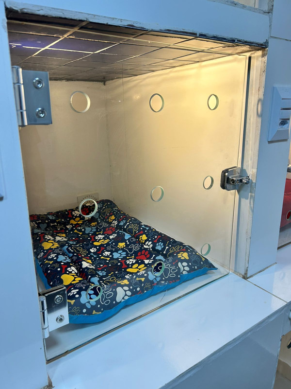 Baias da internação veterinária