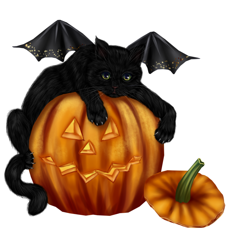 Halloweenpumpkinkitpudnpumkincat