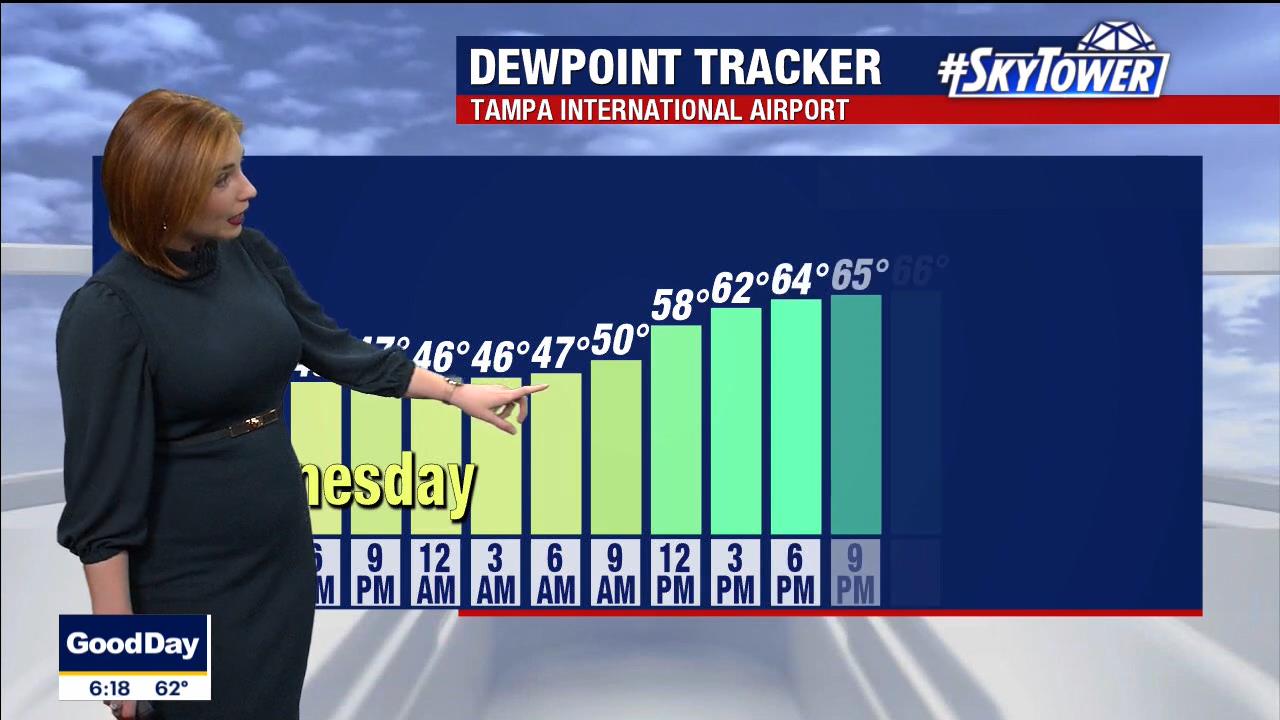 01 January - 11.00.00 - Good Day Tampa Bay @ 6AM. Local news, sp
