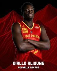 a diallo