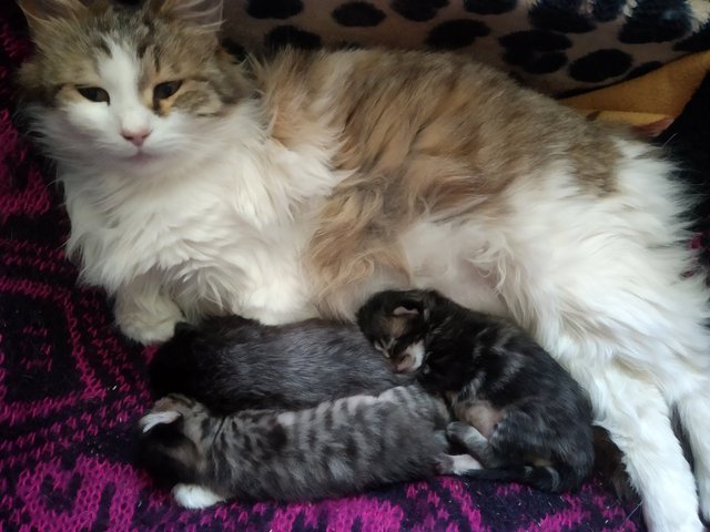 изображение_viber_2022-05-20_19-21-41-807