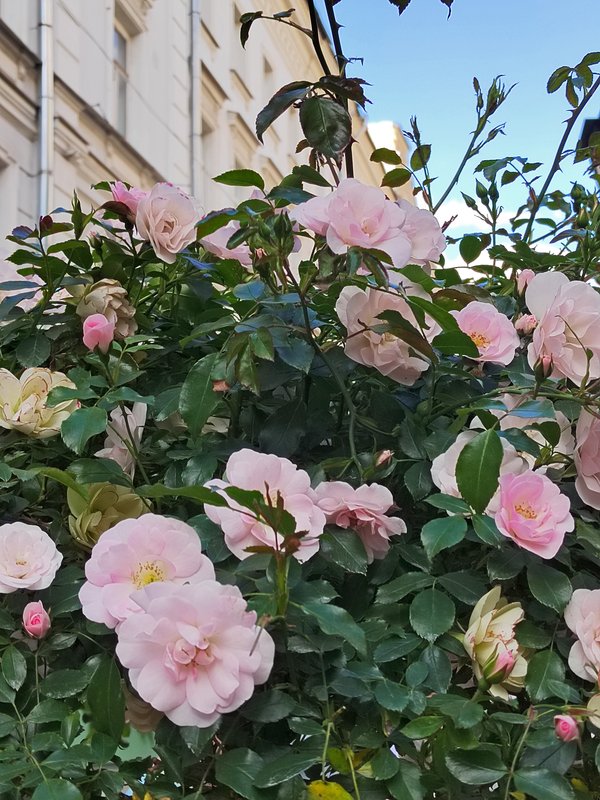 https://i.postimg.cc/wjpZ6WpC/15-IMG-20250525-175403.jpg