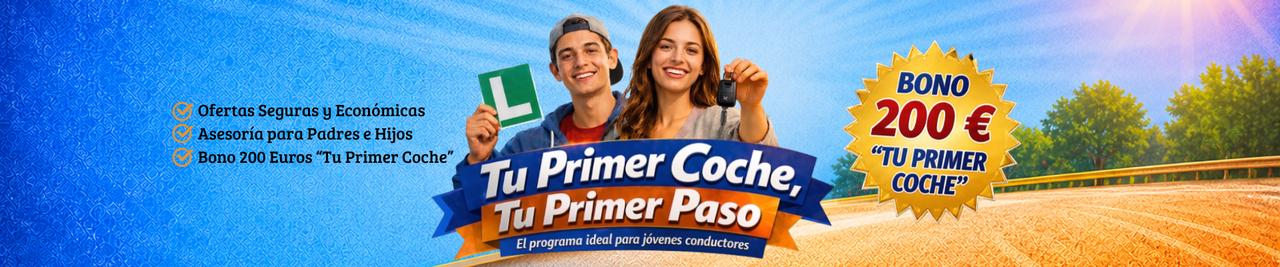Banner Castillo Elite Cars