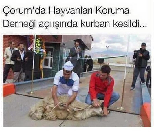 Hayvanlar-koruma-kurban.jpg