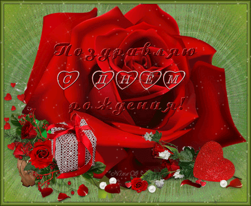 IZOBRAZENIE2