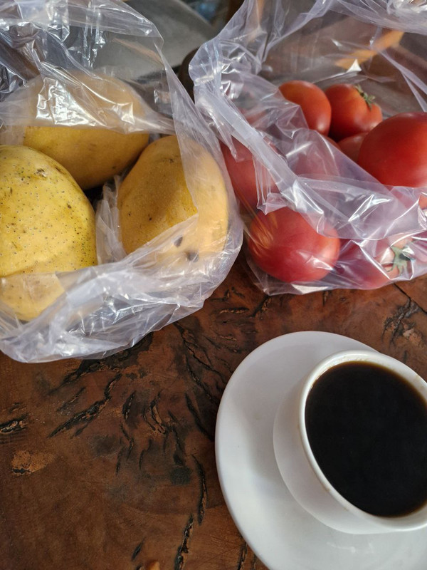 IMG_20240418_103519_440