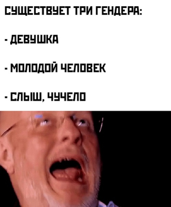 17177333.jpg
