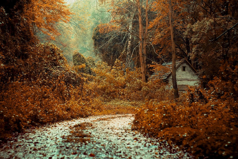 Одинокие маленькие домики, чтобы сбежать от всего мира
