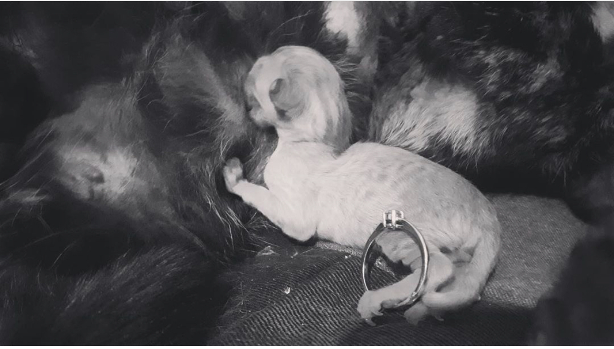 29471801-24F6-4461-9DCD-A9BDF74E1110