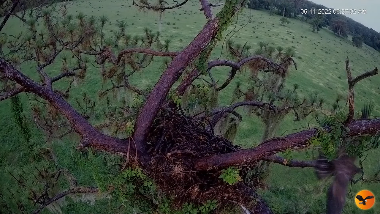 EC 4K Overhead Cam 5-16-55 screenshot