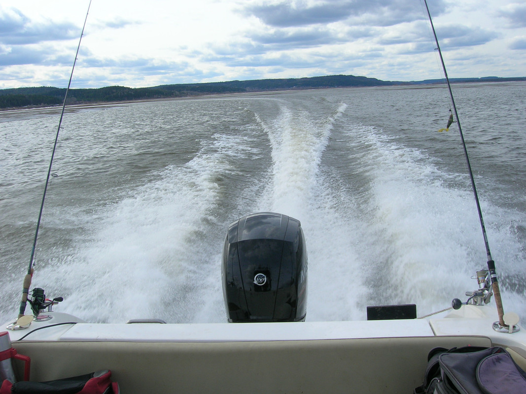 7 DSCN9648 джиг спиннинг рыбалка судак щука таймень блесна вобле