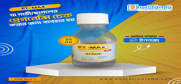 Pt max(গরুর প্রেগন্যান্সি চেক সলিউশন)