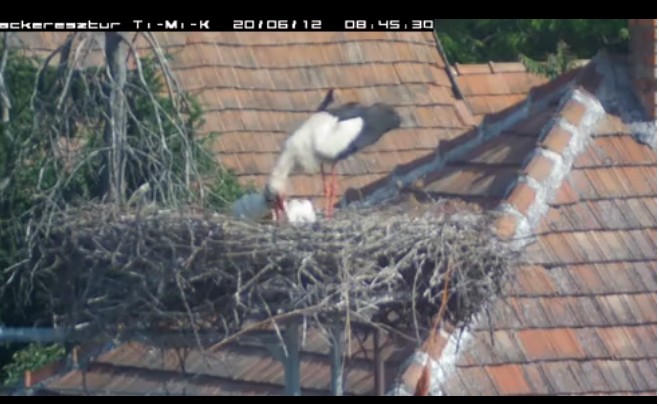 2020-06-12_094633etetés