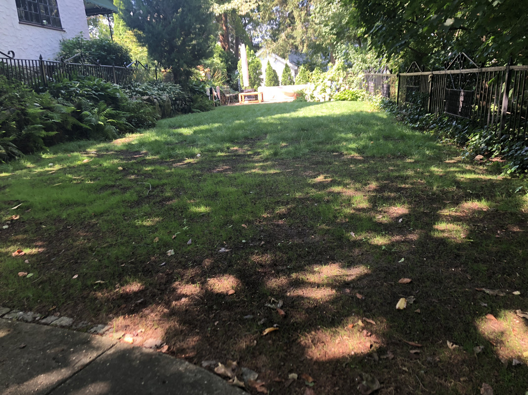 A4B867B4-05F6-4448-B120-BDF09E39D09A