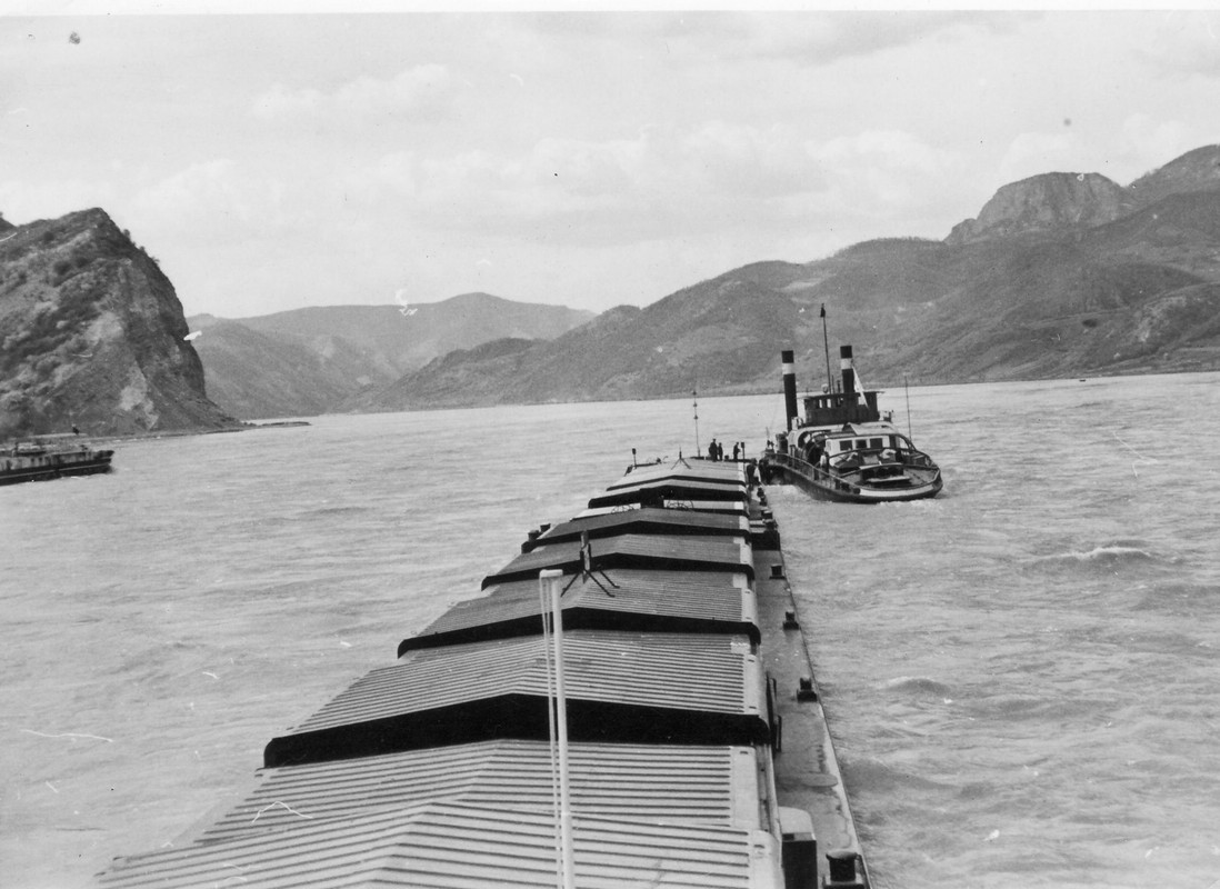 KM-999-Greben-1964g.jpg