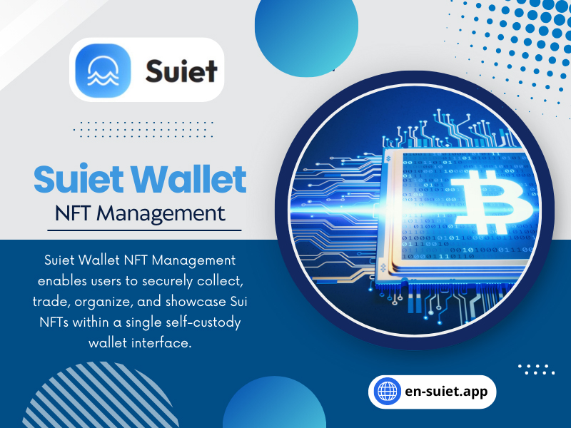 Suiet Wallet NFT Management