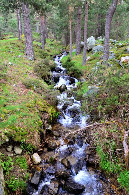 RUTA VALLE DE LA BARRANCA-6-6-2013-MADRID - Paseando por España-1991/2017 (13)