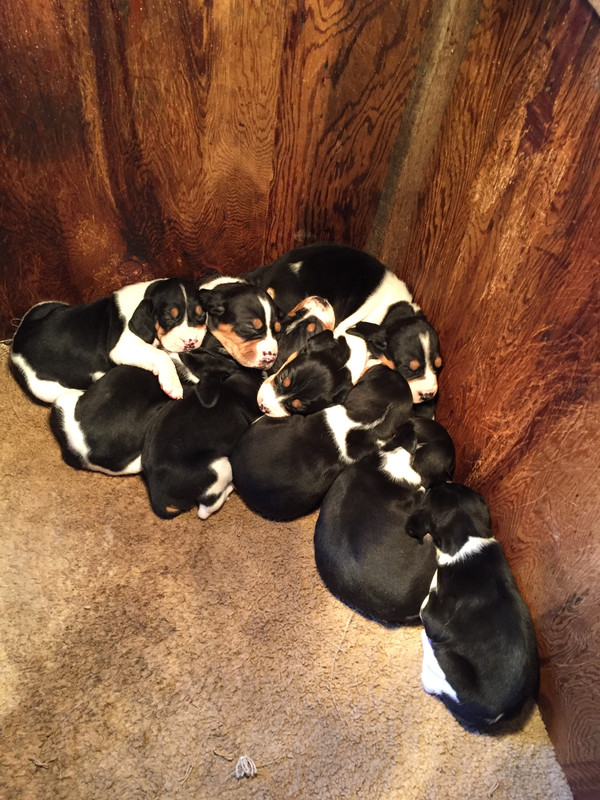 C9BB9600-3DFE-42C3-B183-FE24836E1B9F