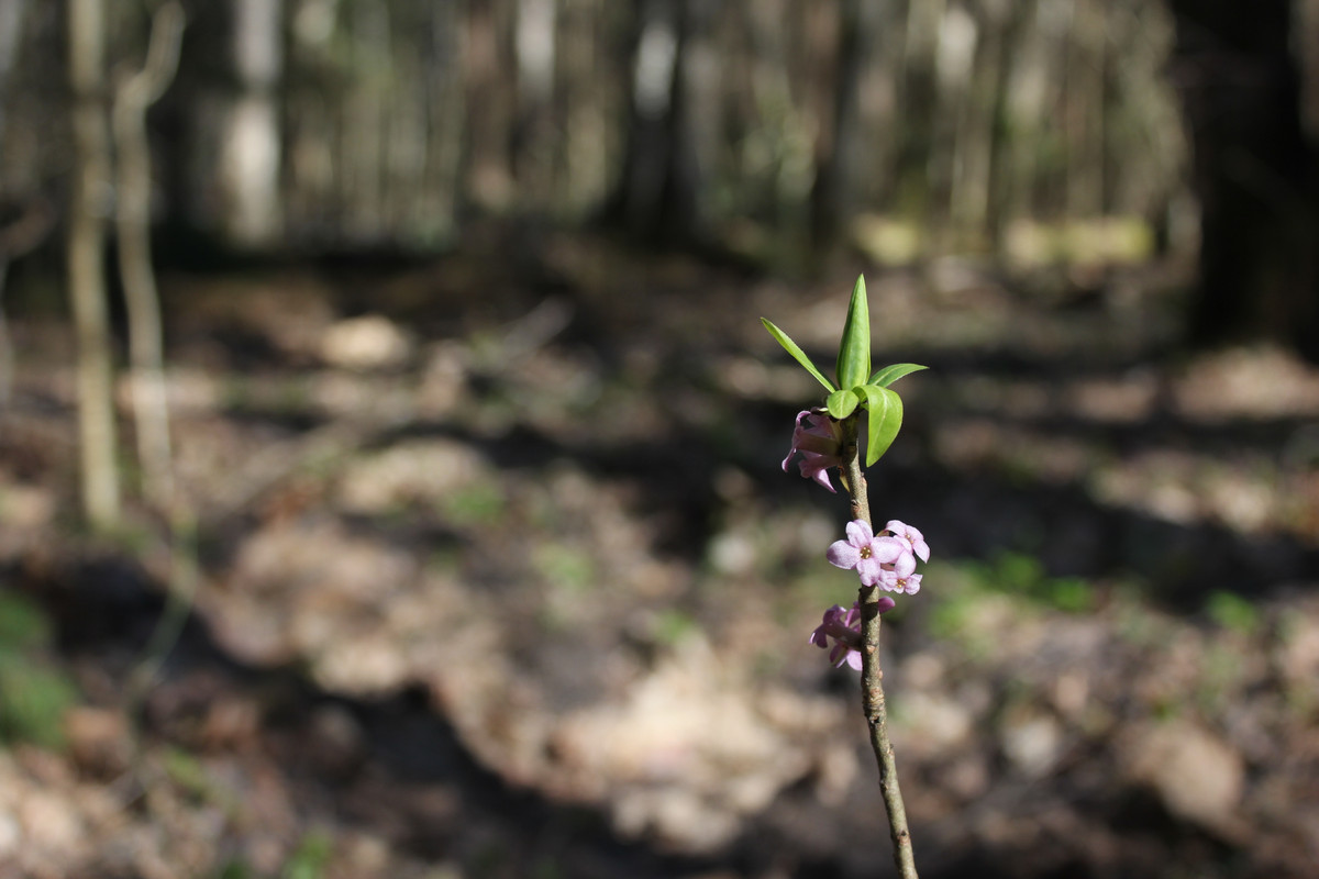 Житн пол 25 0404_04