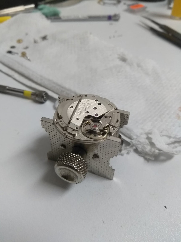 68854200_459240568257152_6355365070414807040_n