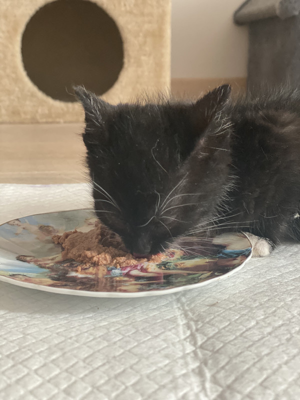 1FF8EB74-F11D-43D9-A028-AA4F2991C095