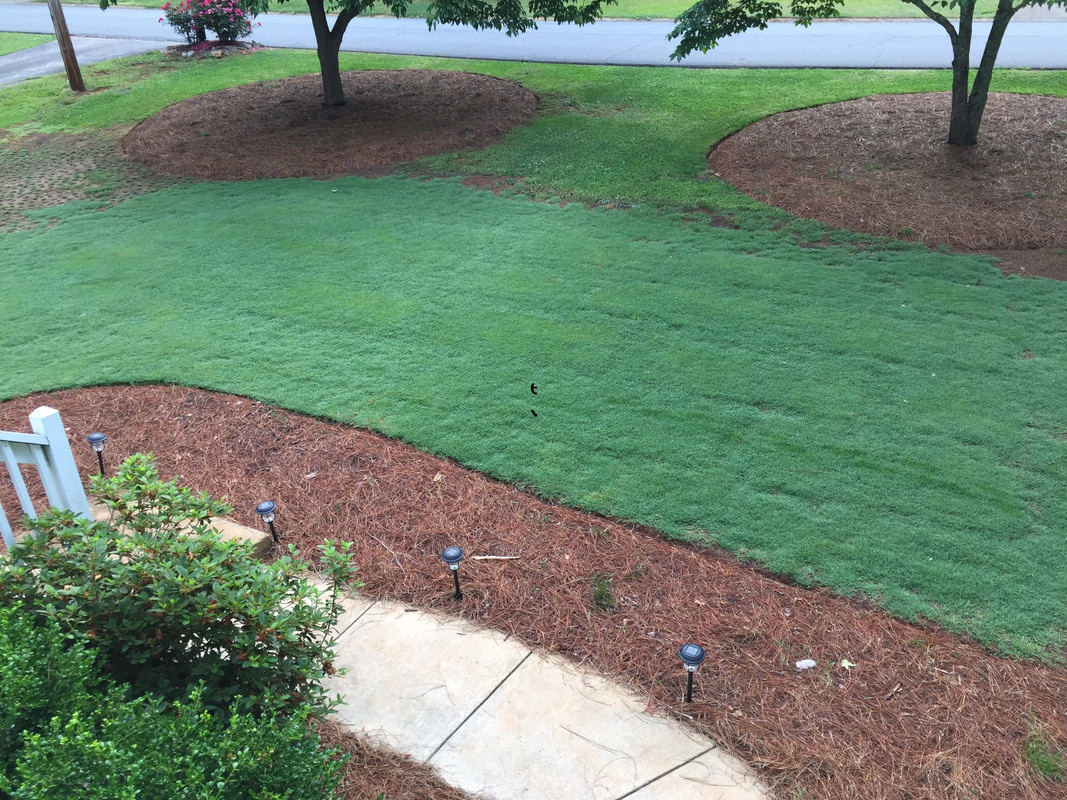 31C20531-8712-4222-9CE8-BBE38500828A