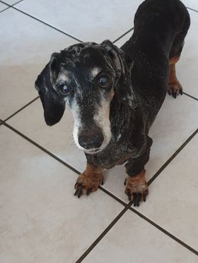 [Image: 314669383-1227516638186047-316162394956621096-n.jpg]