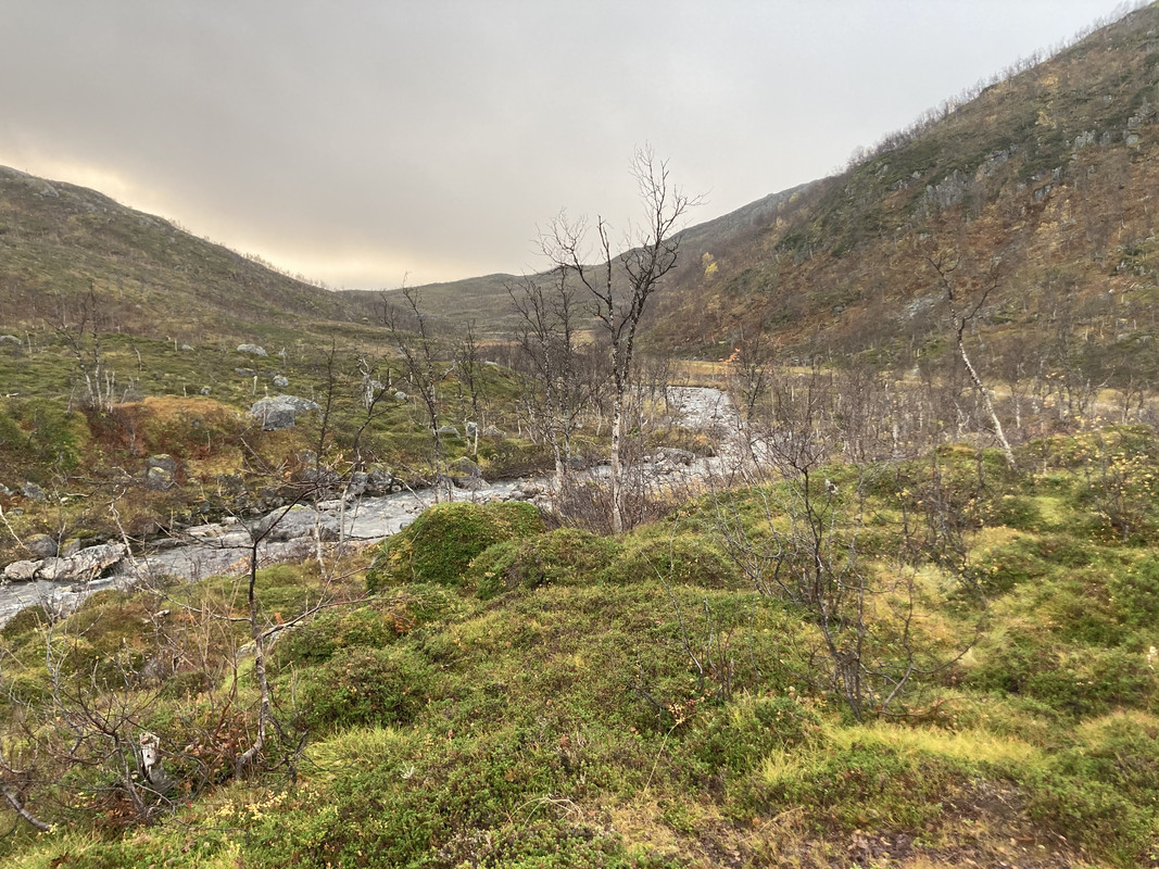 75-F2-EB50-1-AA8-43-D6-9-DA5-6-C8-CC6-FC