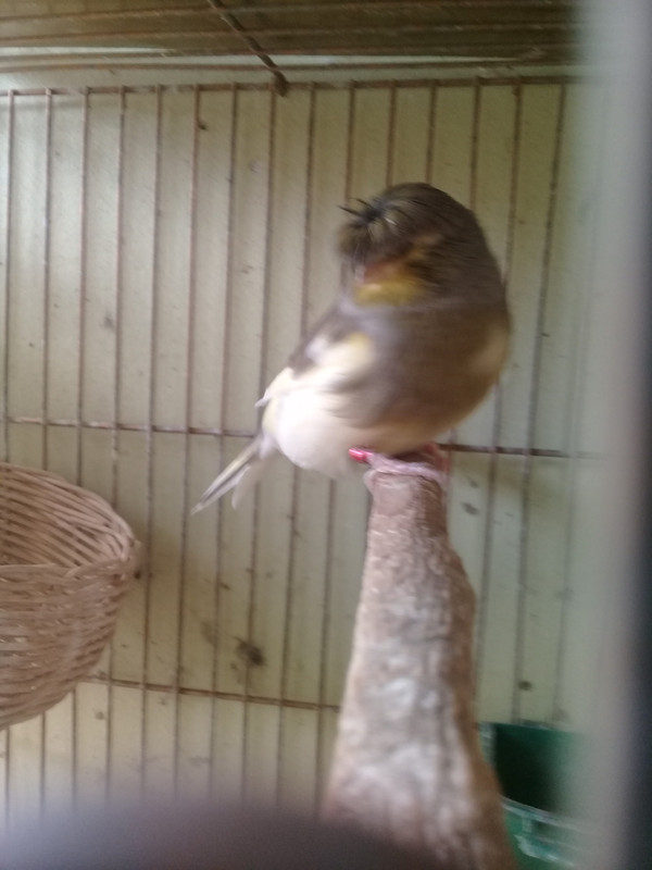 ٢?١٨١?١٥_١٥٥٧٤?