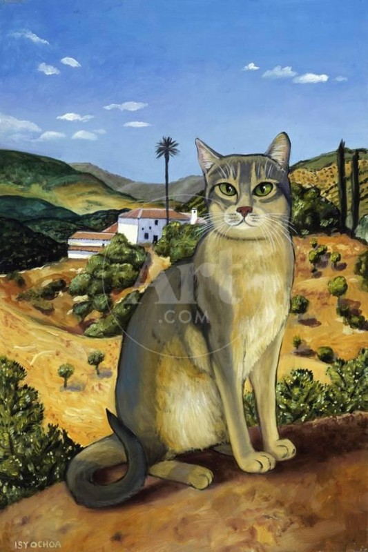 cabyssinian-in-the-vicinity-of-seville-u-L-Q1-HAPOQ0