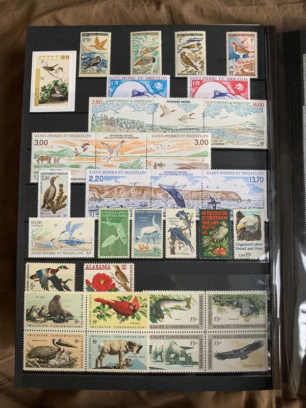 IMG 0583 — Postimages