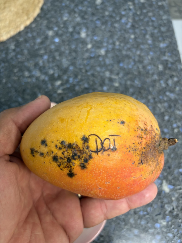 Dot mango