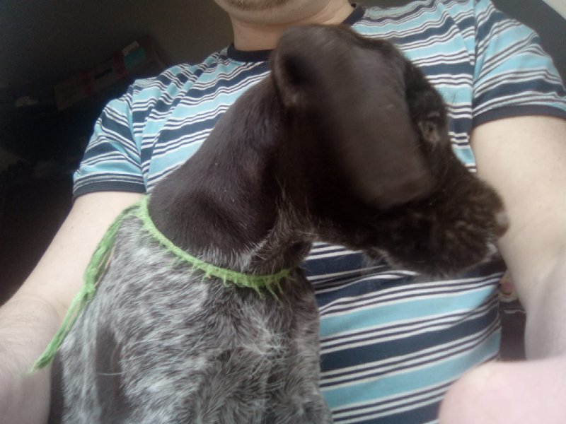 Whats-App-Image-2020-03-05-at-14-12-07.j