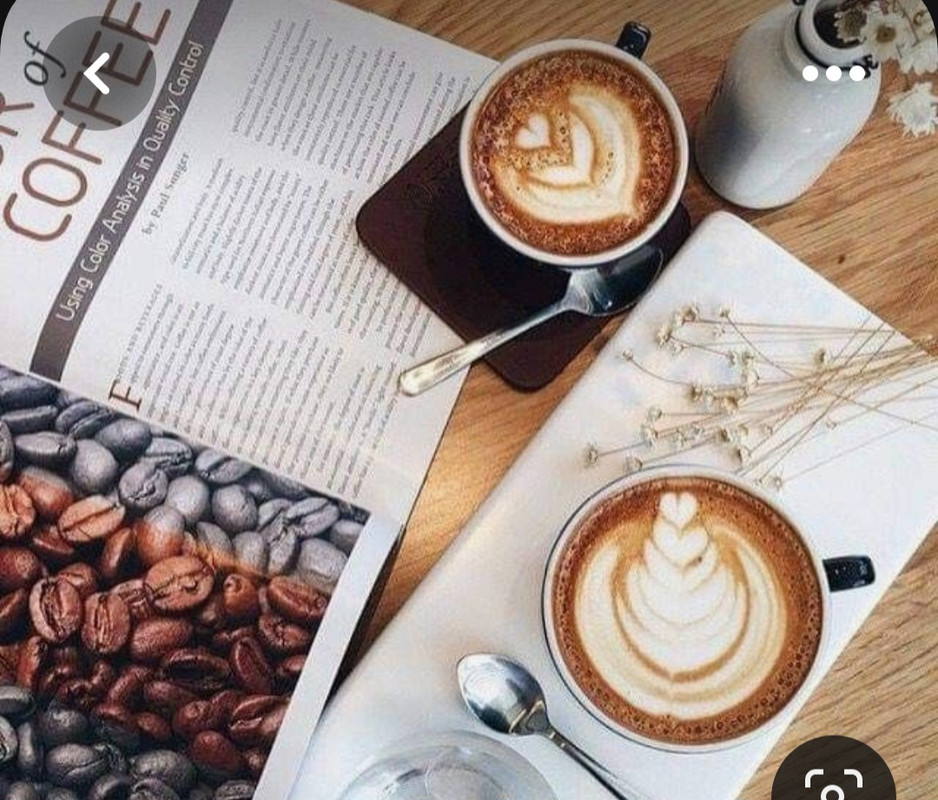 Screenshot_20230517_004314_Pinterest