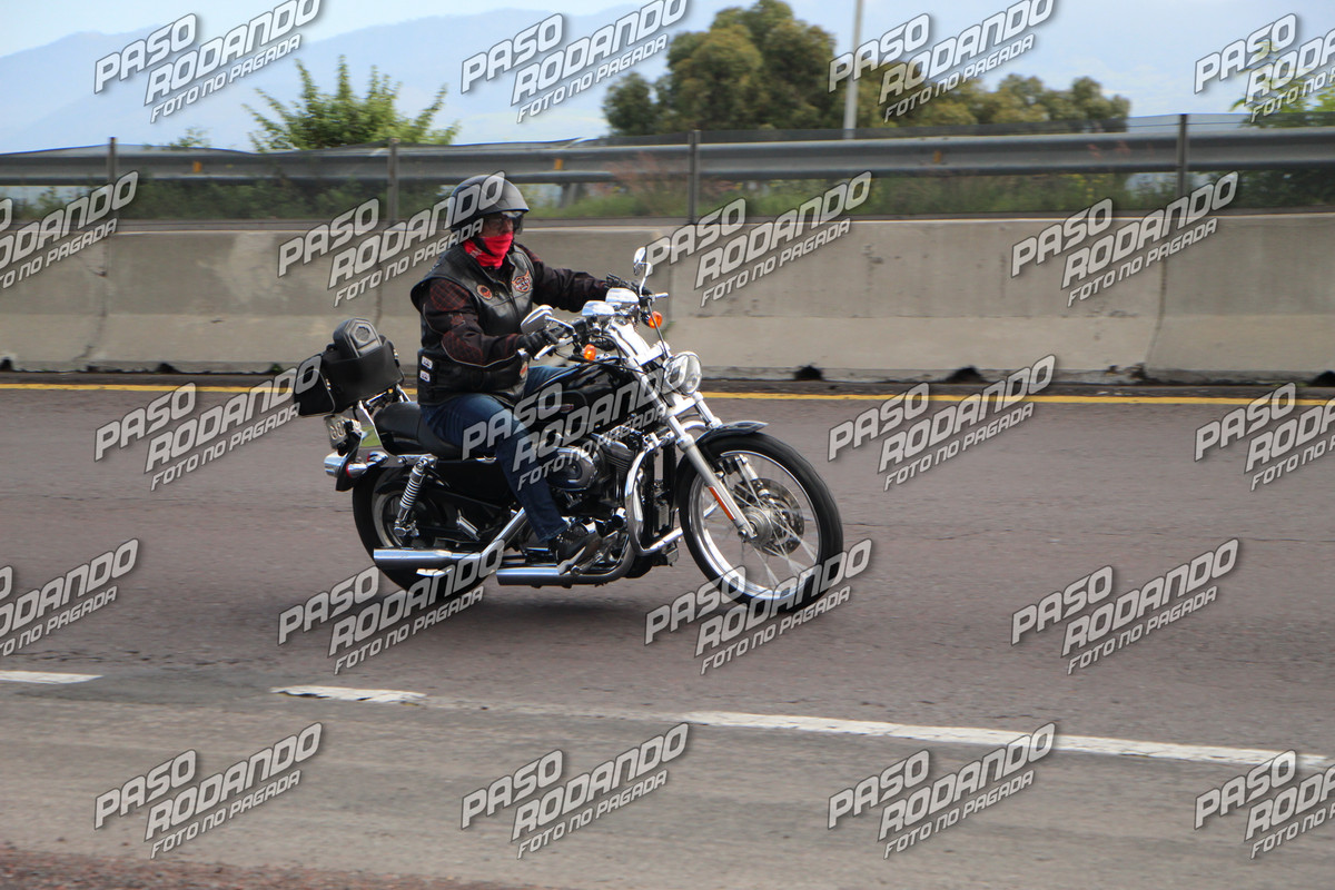 IMG 8709 wm 8027119 8 watermarked — Postimages