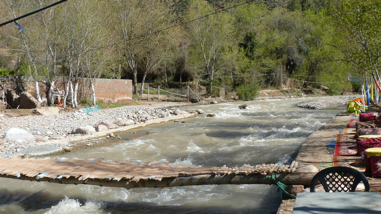 [Obrazek: P1120633.jpg]