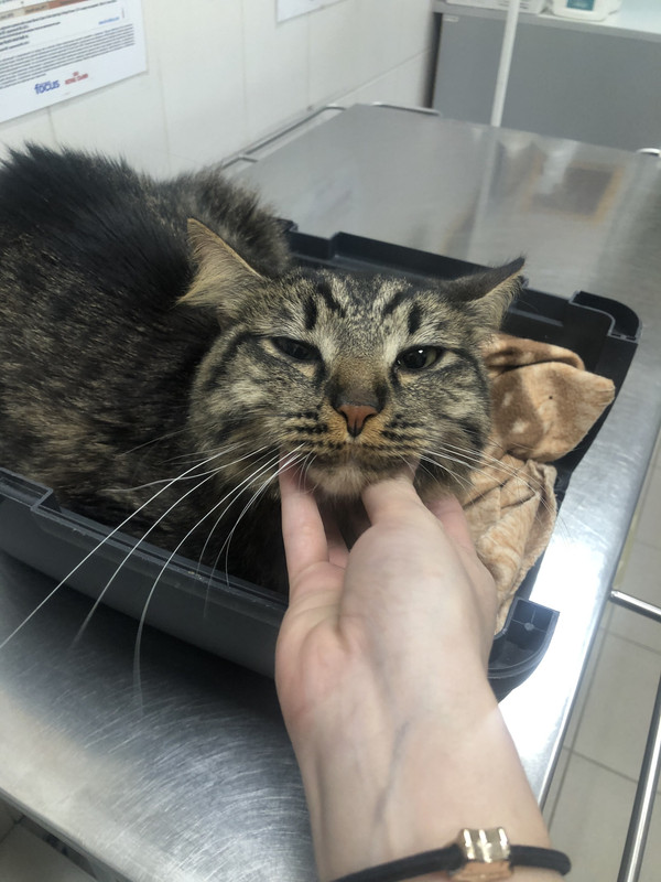 AC85D2E9-40F1-467A-91BE-46C65E7C2021