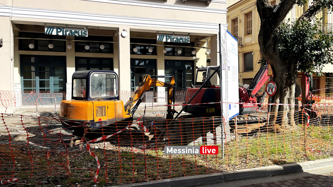 δεντρα 23IMG_8976