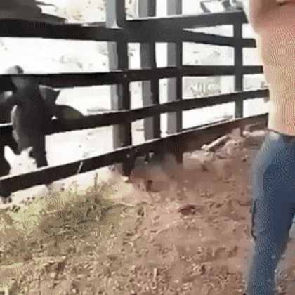 559.gif