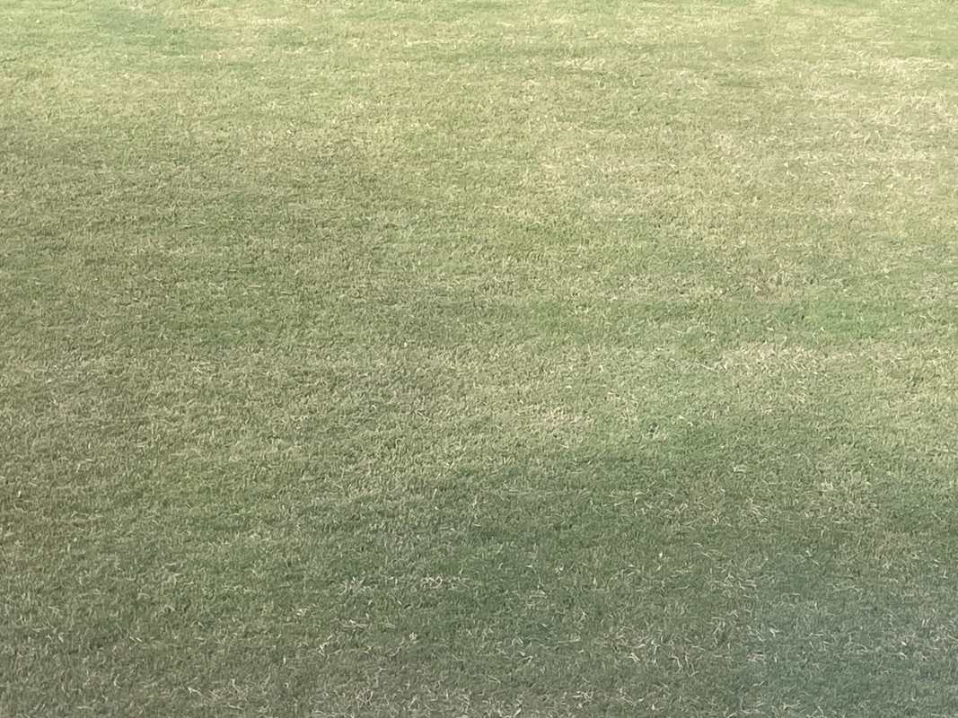 F3528C1E-080B-4790-B231-C6C7520756FE