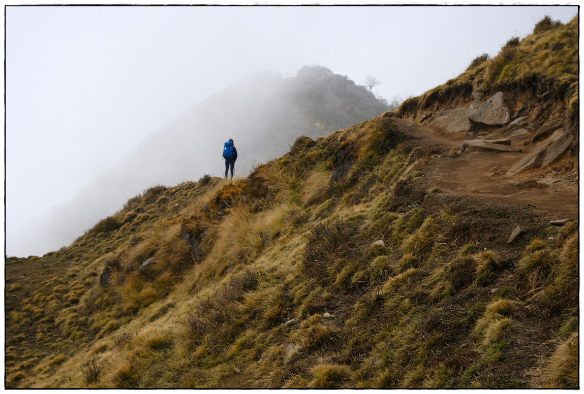 MH día 4: High Camp (3543 m) a Badal Danda (3365 m) - Trekking en Nepal: Annapurna Circuit y Mardi Himal (10)