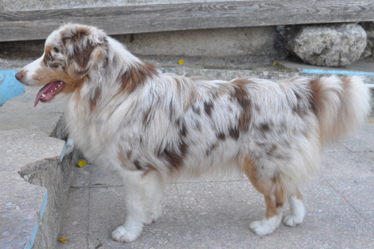 DSC-0056-Resize-Sybelle.jpg
