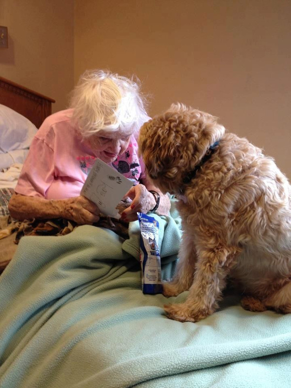 d1bd1943d8b97e3d7419f364ead06750