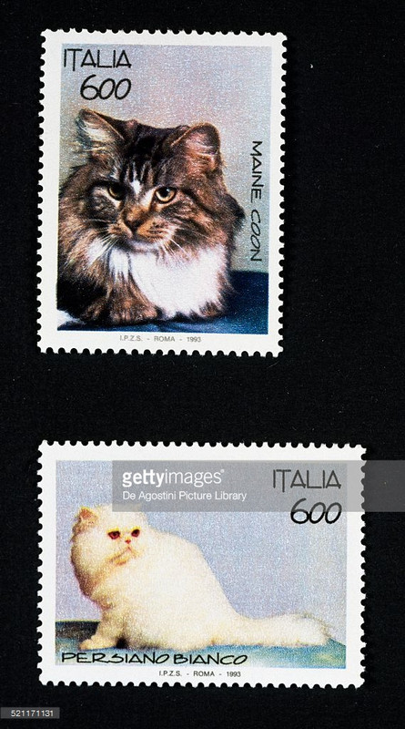 107