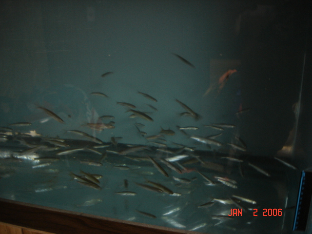 DSC01012