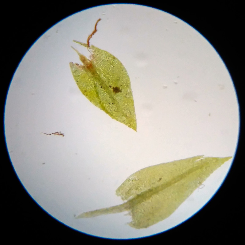 IMG 20250617 114637 HDR