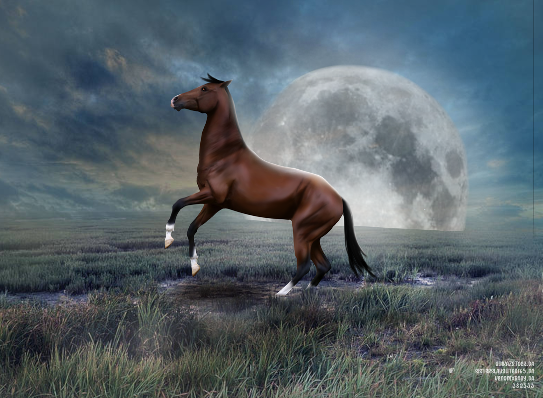 Untitled90-20250121182814.png